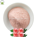 Rose Petal Extract Powder Rose Powder